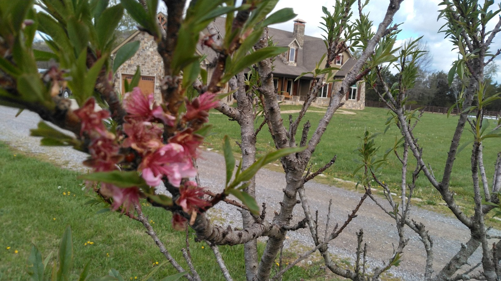 s463301579557402281_p4_i10_w1600 Picture