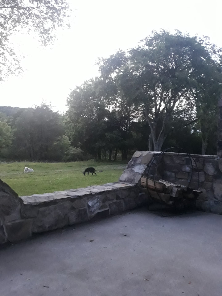 s463301579557402281_p4_i7_w720 Picture