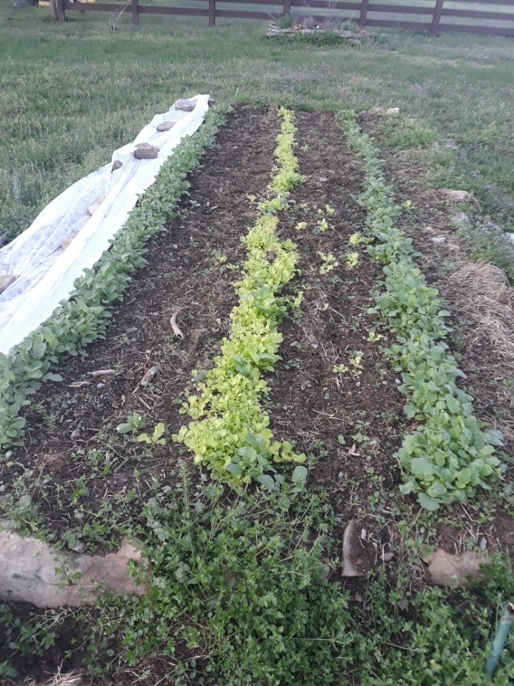 s463301579557402281_p4_i8_w720 Picture