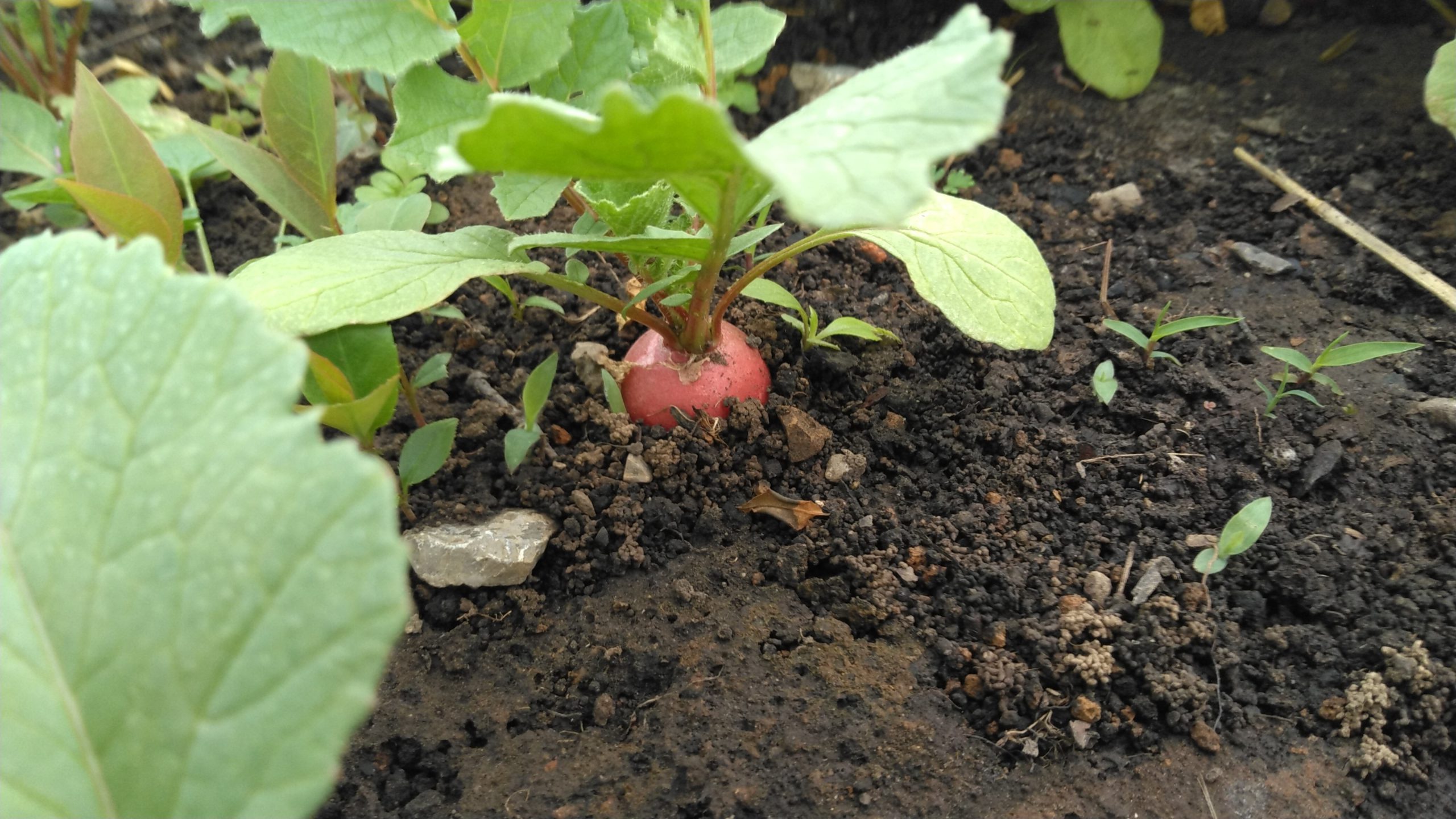 s463301579557402281_p4_i9_w4160 Picture